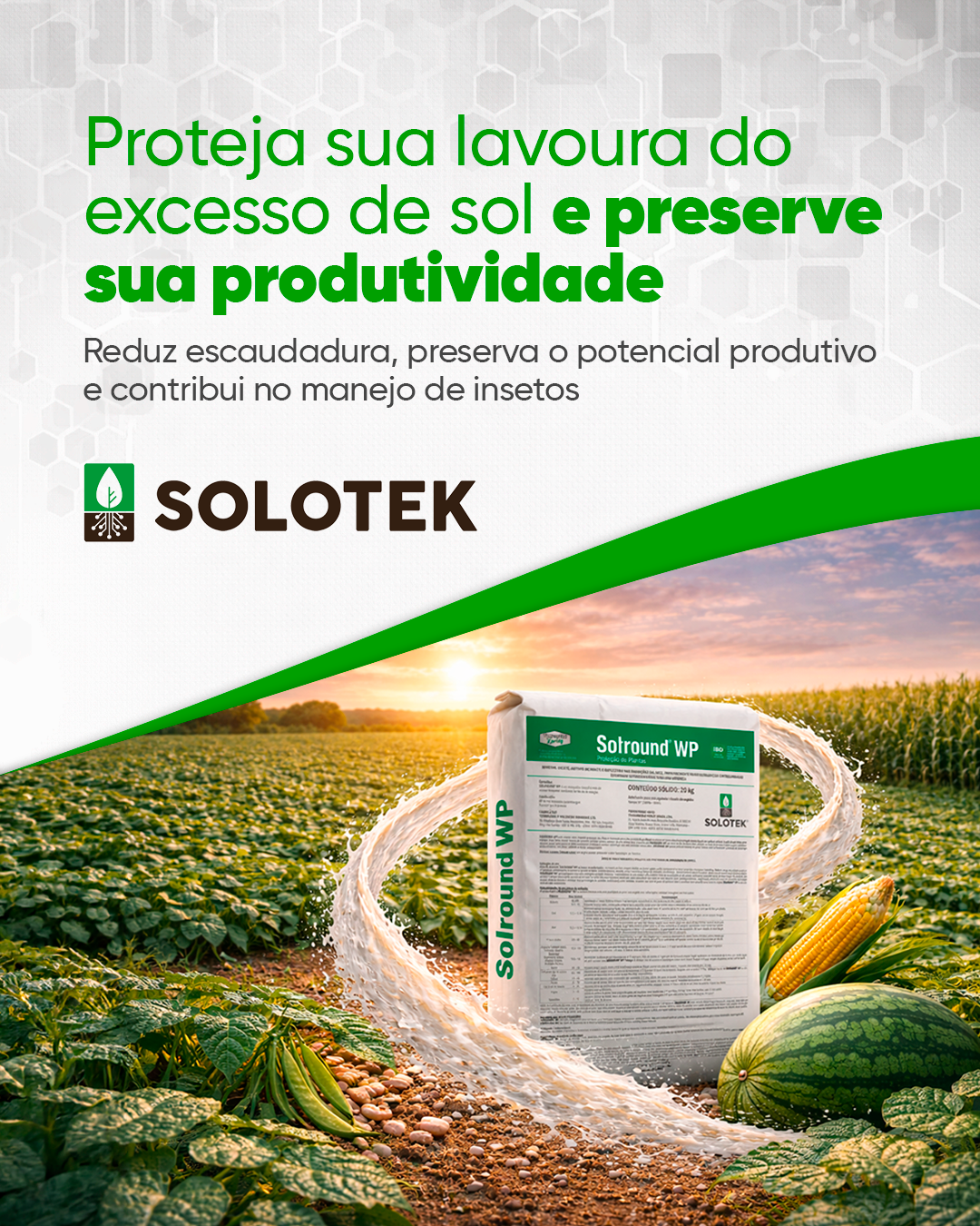 capa Solround Celular